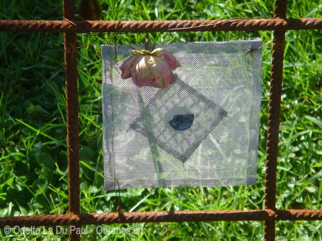 dsc00006 watermarked