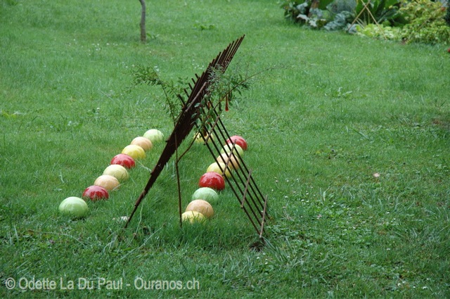 dsc 0030 watermarked