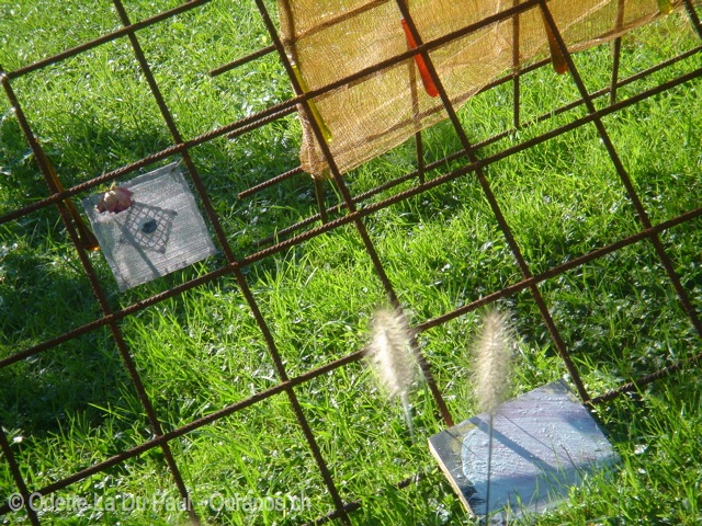 dsc00005 1 watermarked