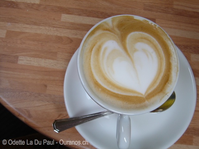 dsc00459 watermarked
