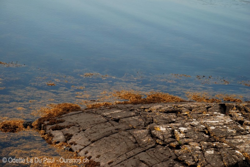 ecosse-14 watermarked