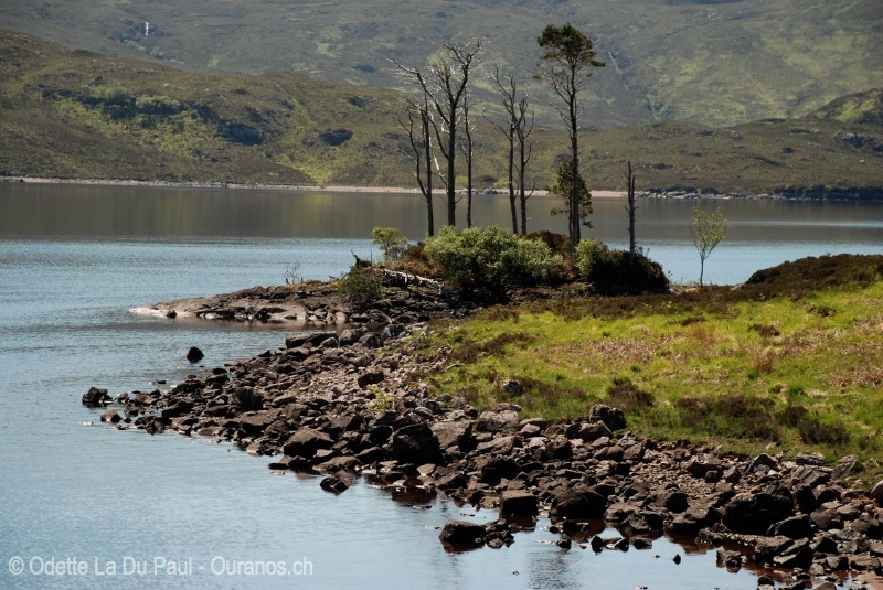 ecosse-15 watermarked