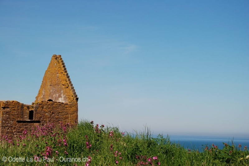 ecosse-24 watermarked