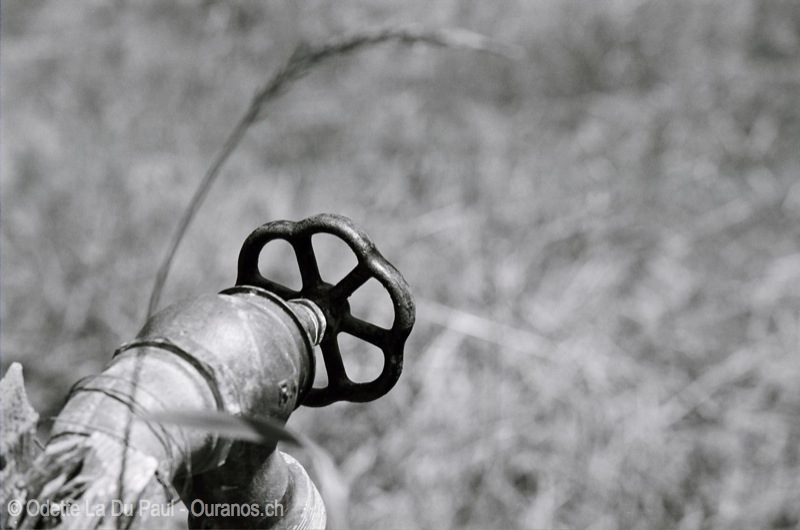 watermarked