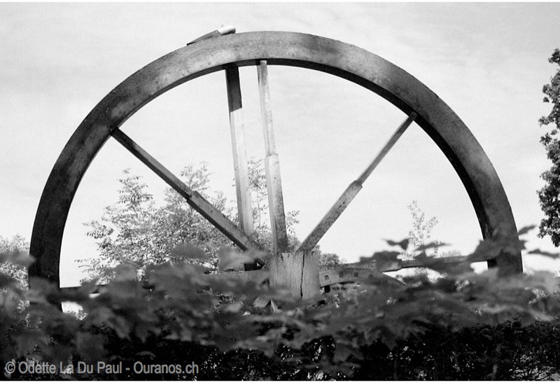 Image004 4 3 watermarked