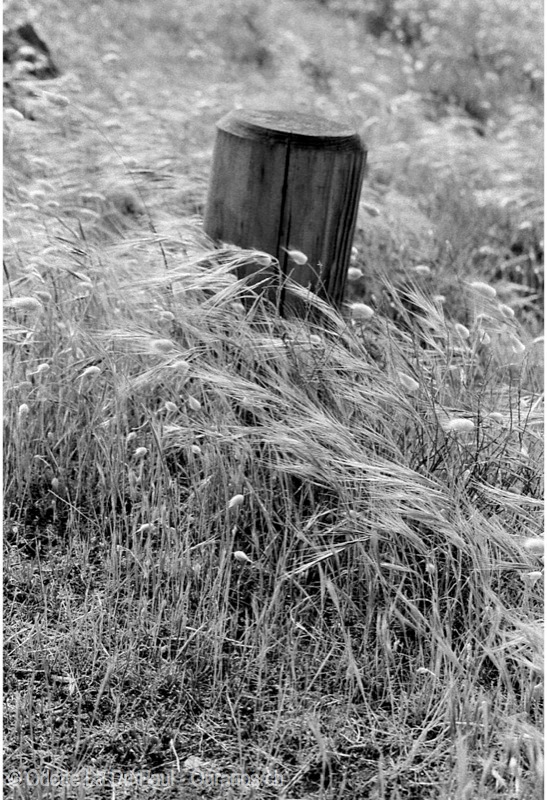 Image006 6 2 watermarked