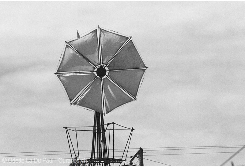 Image009 9 3 2 watermarked