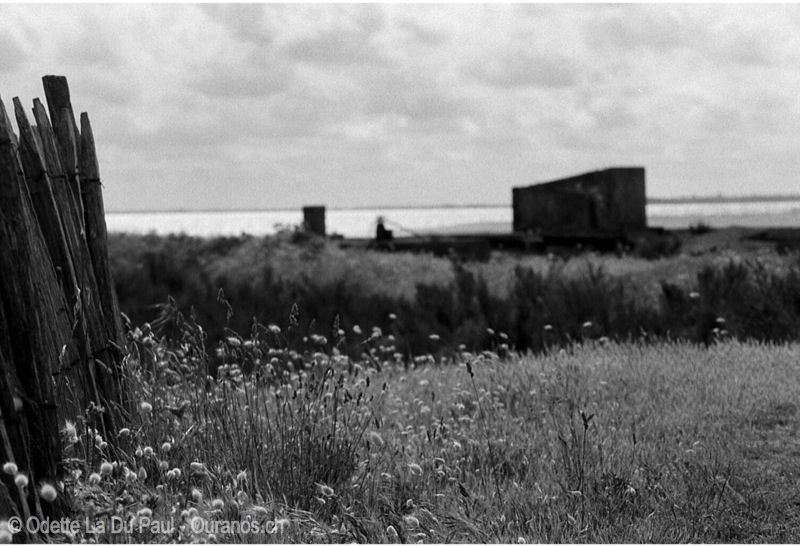 Image010 10 2 watermarked
