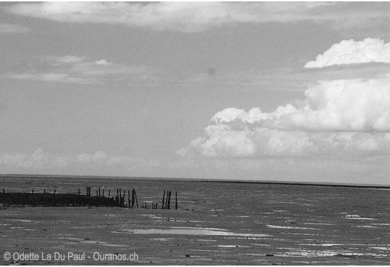 Image015 15 3 watermarked