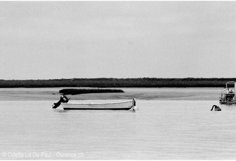Image019 19 1 watermarked