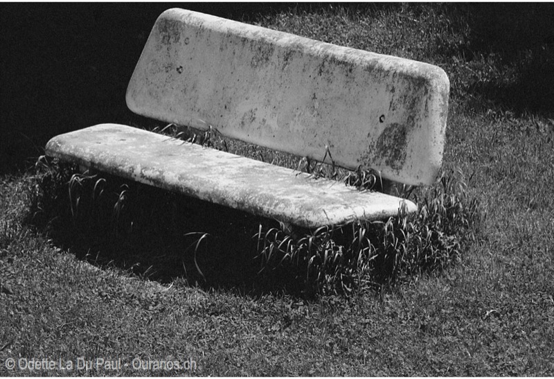 Image026 26 2 watermarked
