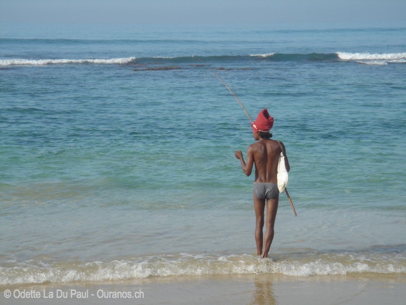 DSC00038 watermarked