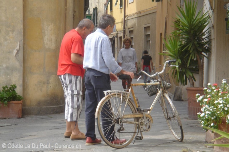 DSC00574 watermarked