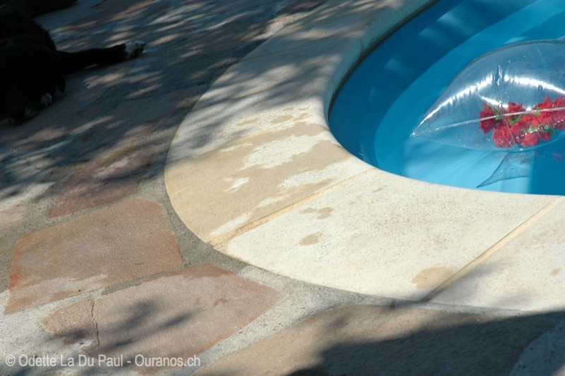 DSC 0067 watermarked