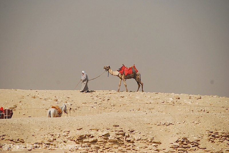 egypt-