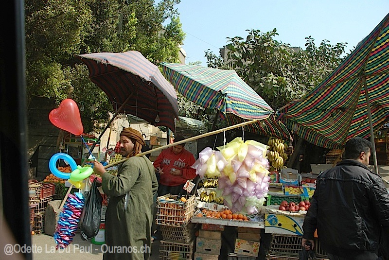 egypt-