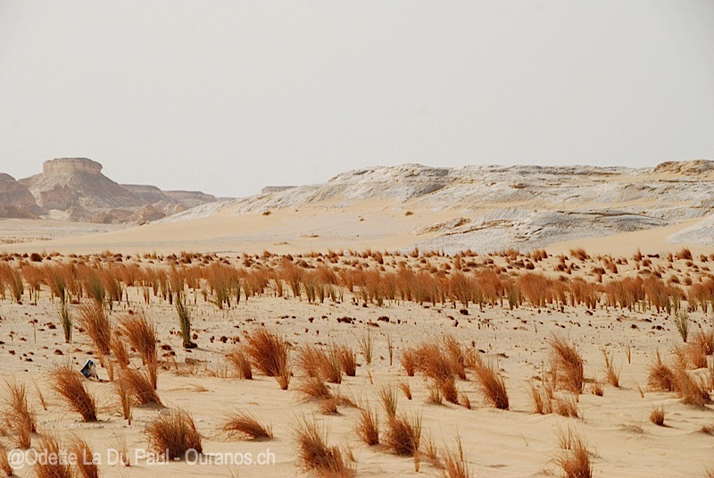 egypt-