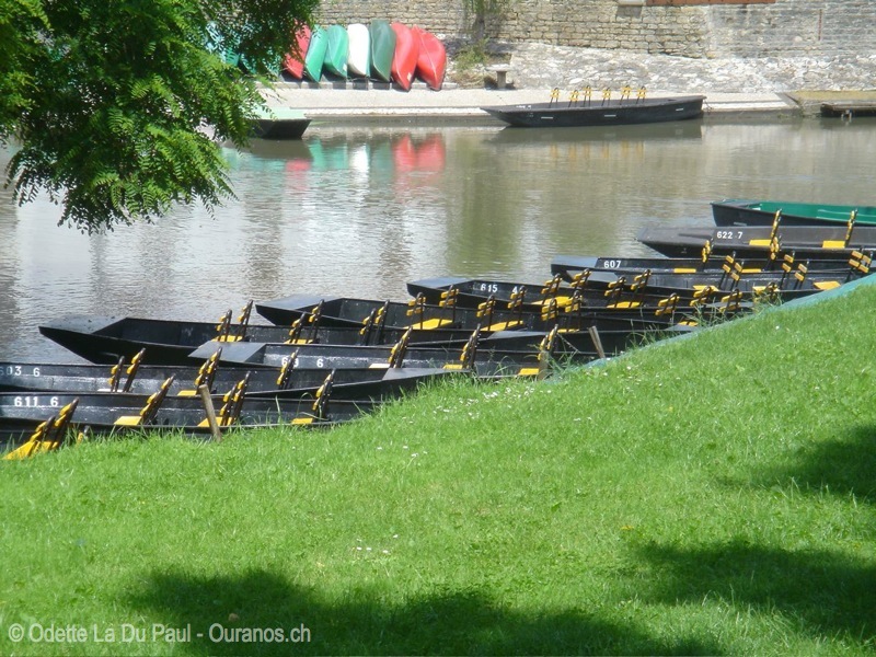 DSC00366 watermarked