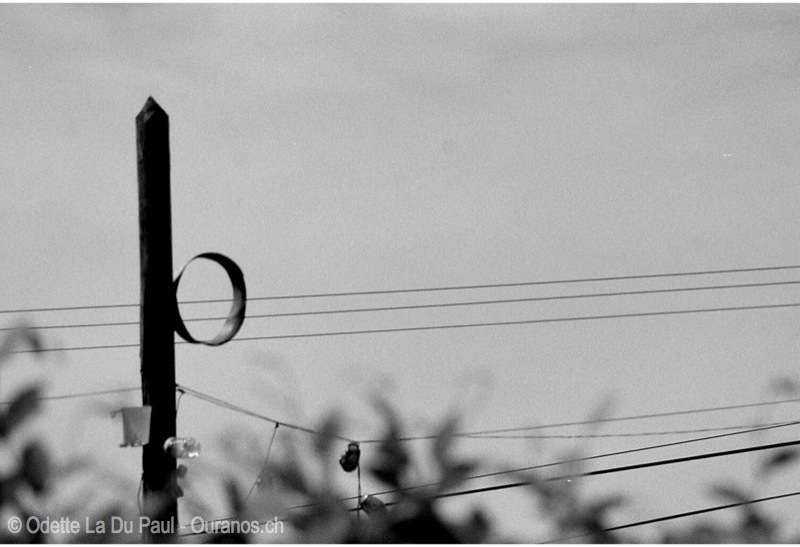 Image010 10 3 watermarked
