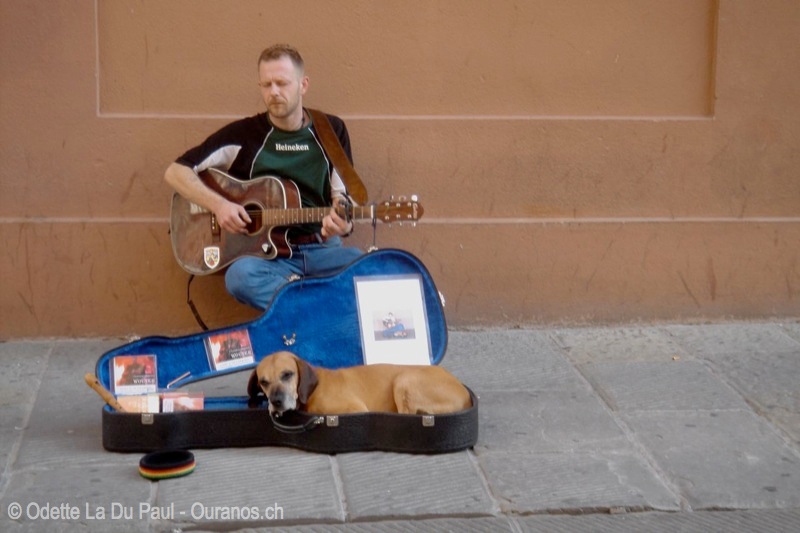 DSC00546 watermarked
