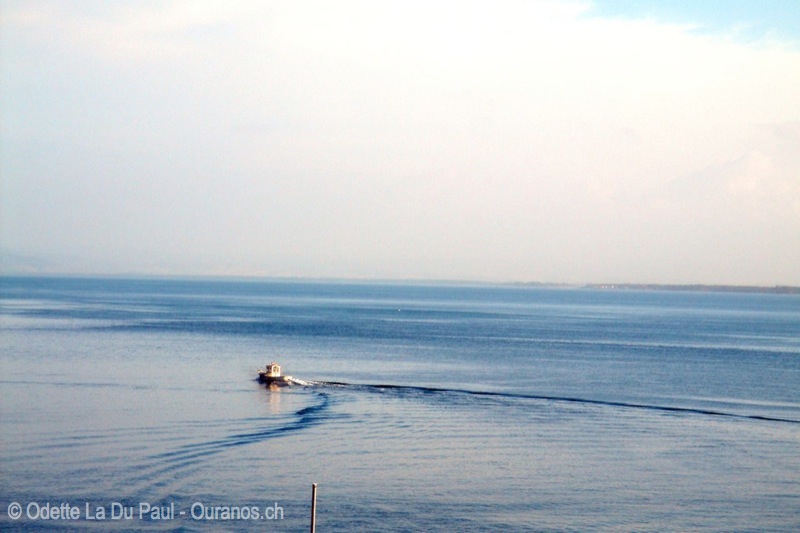 DSC00556 watermarked