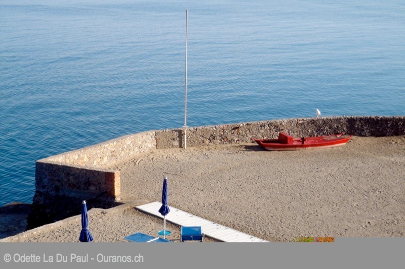 DSC00559 2 watermarked