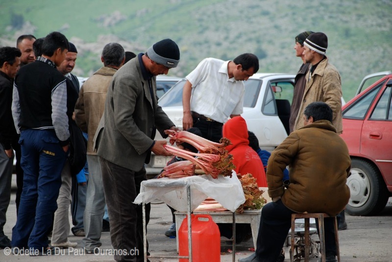 ousbek-23 watermarked