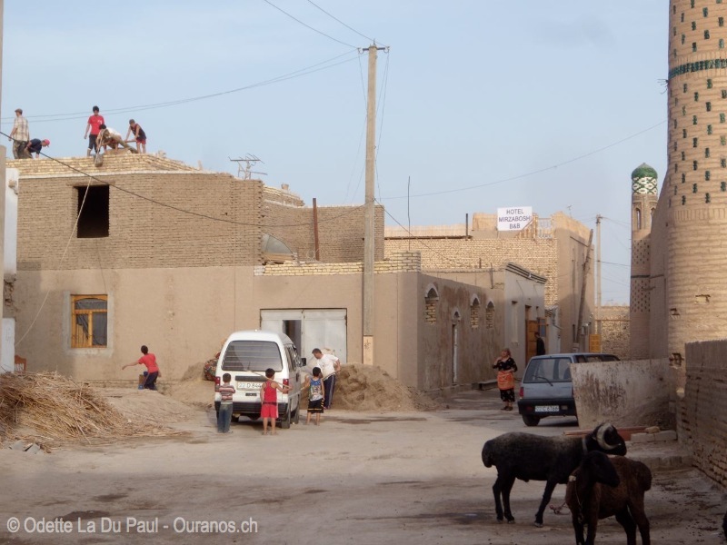 ousbek-35 watermarked