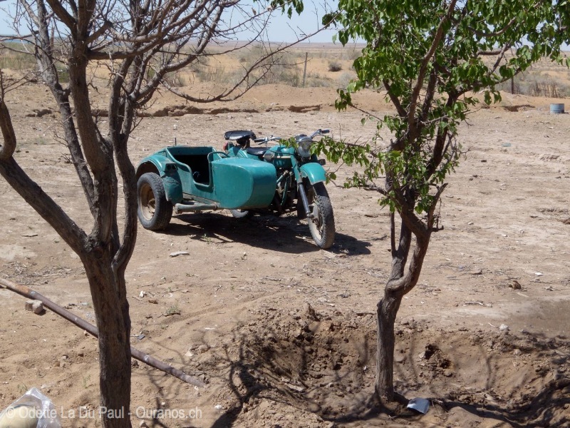 ousbek-41 watermarked