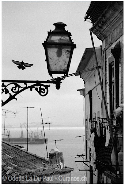 portugal-13 watermarked
